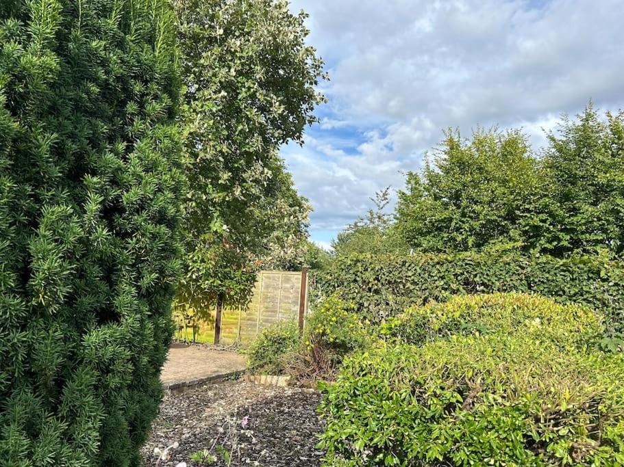 Abacus Cottage Whitwell-on-the-Hill 外观 照片